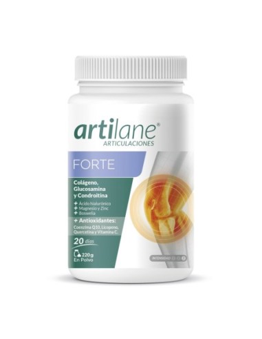 Artilane Forte Polvo Oral 1 Envase 220 G