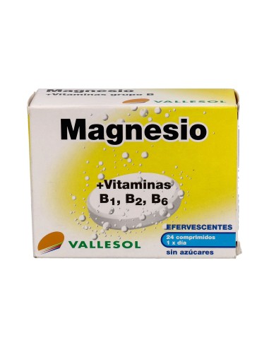 Vallesol Mag+B Eferv 24 Comp
